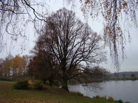 Roątýnský rybník u Telče