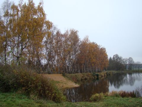 hráz Rostýnského rybníka