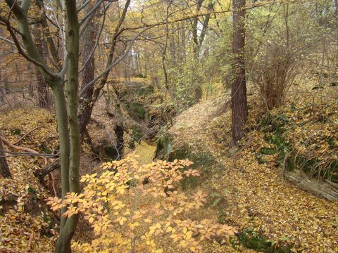 romantické průchody v podzimním lese
