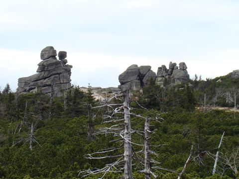 Svinské kameny (1290 m)