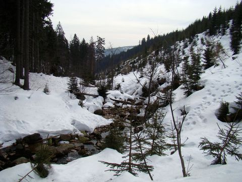 údolí Medvědího potoka