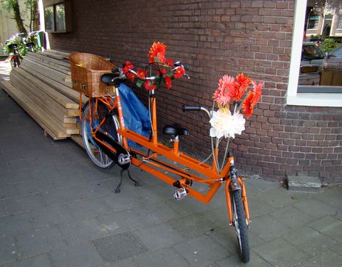 Holanďani mají svá kola rádi