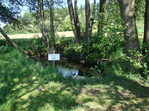 Zde počíná svůj tok řeka Jihlava - je psáno na cedulce, kterou sem umístila Česká televize při natáčení pořadu o pramenech řek