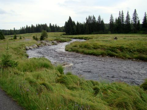 údolí Roklanského potoka