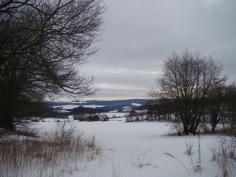 výhled z okraje přírodního parku Čeřínek