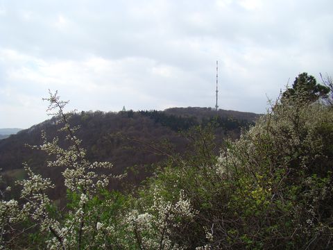 pohled z Leopoldsbergu na věž kostela a vysílač na Kahlenbergu