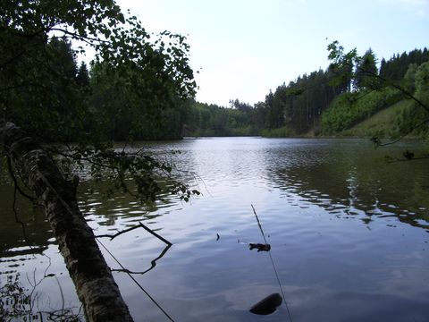 rybník Kukle