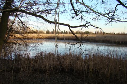 rybník blízko Bukovna II