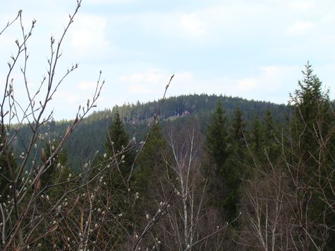 z vyhlídky na Přední skále je vidět lyzařská chata u sjezdovky pod vrcholem Čeřínku