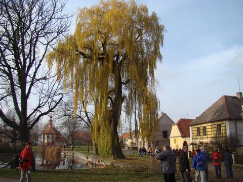 náves s rybníkem a kaplí sv.Martina v Třebízi