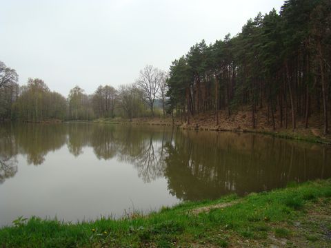 rybník Herout