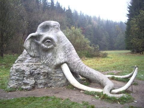 mamut pod Rozątípenou skálou