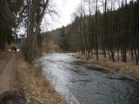 řeka Jihlava