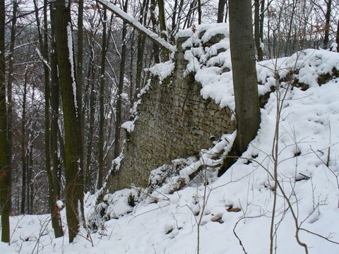 zbytky hradu Blansek