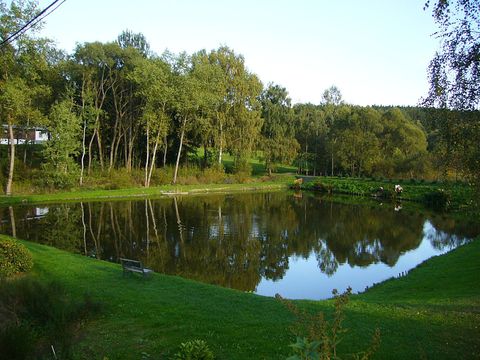 rybník u Daliborky