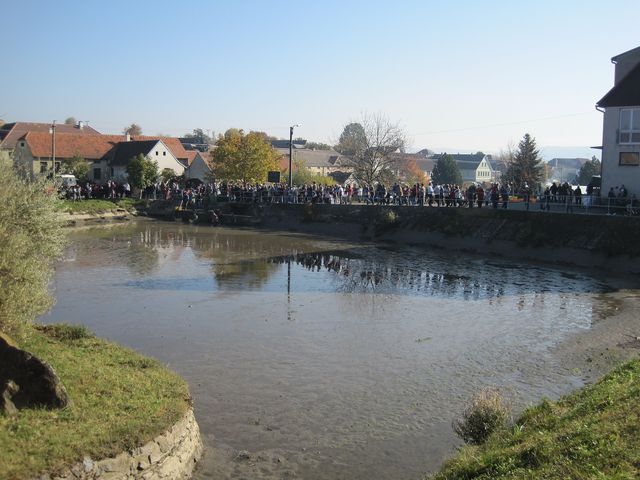 výlov rybníka v Sedlejově