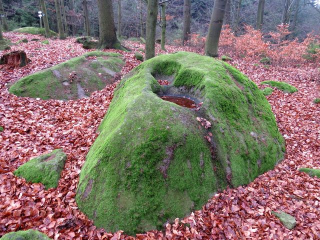 na svazích Přední skály je v kamenném moři častý výskyt prohlubní vytvořených na balvanech zvětráváním; www.svatosi.cz