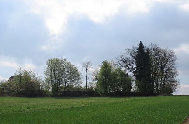 pohled na hřbitov od osady Koušovice; www.svatosi.cz