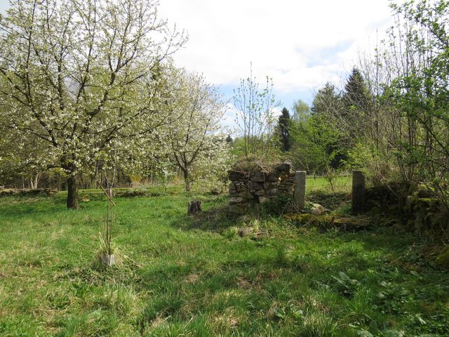 zbytky obřadní místnosti; www.svatosi.cz