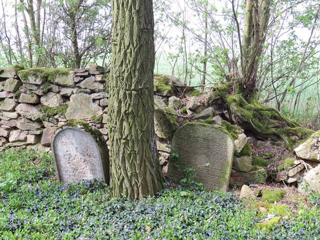 nejstarší dochované náhrobky jsou z první poloviny 19. století; www.svatosi.cz