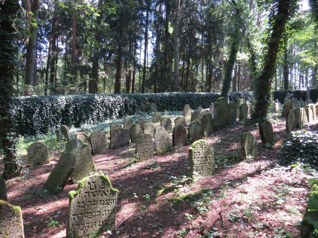 židovský hřbitov ze začátku 18. století; www.svatosi.cz