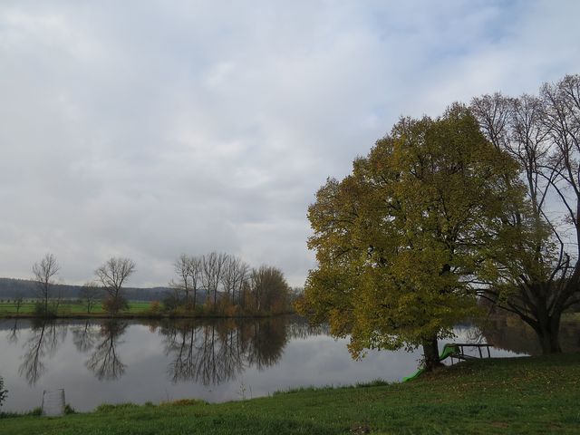 Roštejnský rybník u Telče