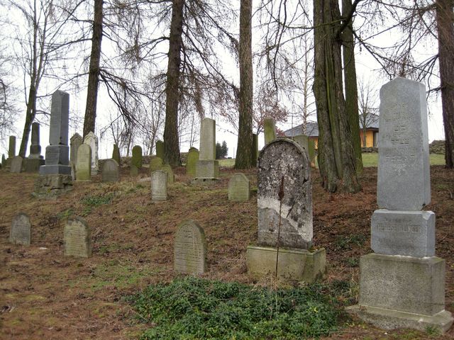 židovský hřbitov v Puklicích byl založen v 1. polovině 15. století; www.svatosi.cz