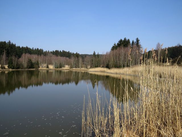 rybník Mikšovec
