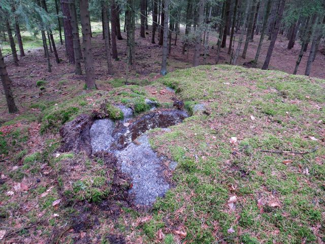 jeden z kolomazných kamenů v lesích u Kamenné