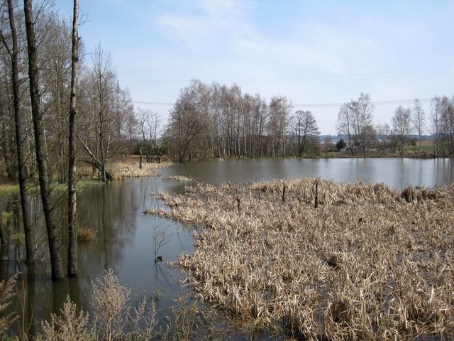 Lomové rybníky u Hlinska