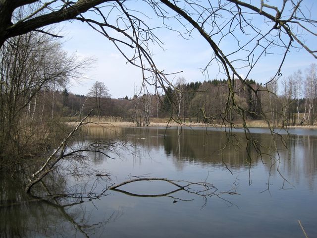 jeden z Lomových rybníků u Hlinska