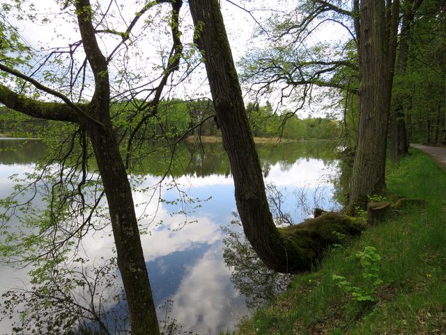 projížďka kolem rybníků poblíž Chlumu u Třeboně; www.svatosi.cz