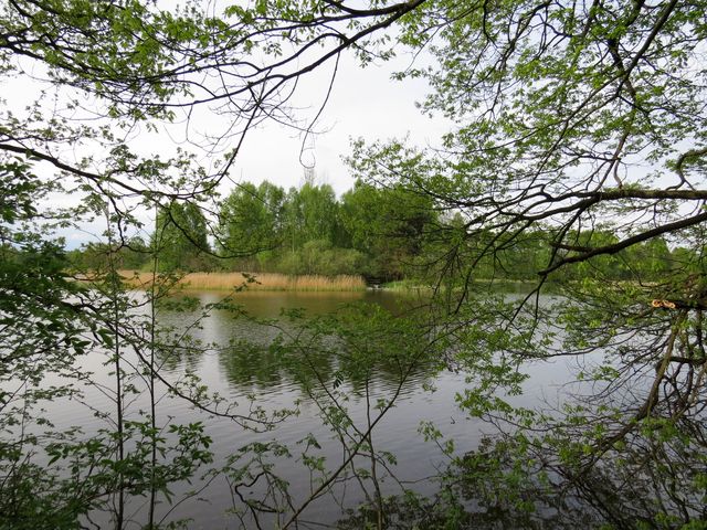 Purkrabský rybník u Chlumu u Třeboně