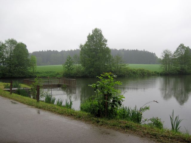 rybník Čihadlo za deště