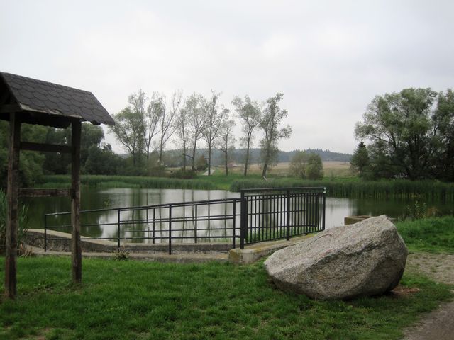 Týnský rybník
