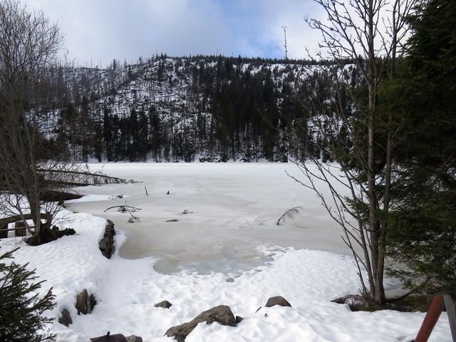 Prášilské jezero v zimě 2016