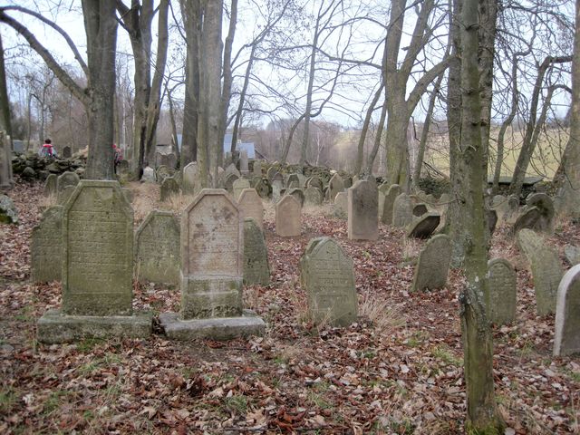 židovský hřbitov u Větrného Jeníkova