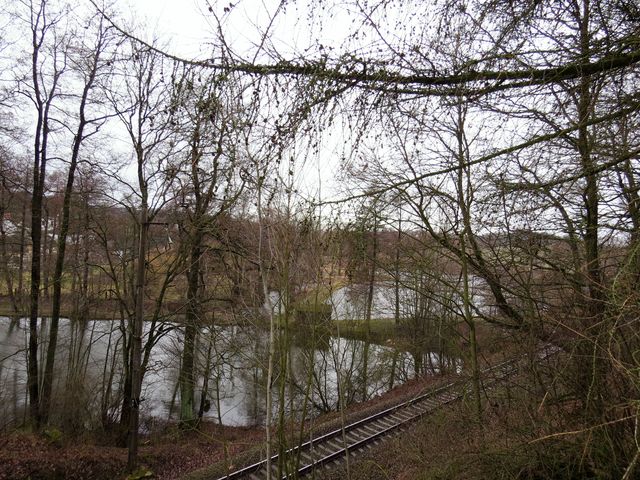 v popředí rybník Ohnsorg, vzadu Kaláškův rybník, kde stávala vodní tvrz