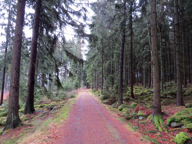 na cestě Čeřínek - Cejle; www.svatosi.cz na cestě Čeřínek - Cejle; www.svatosi.cz