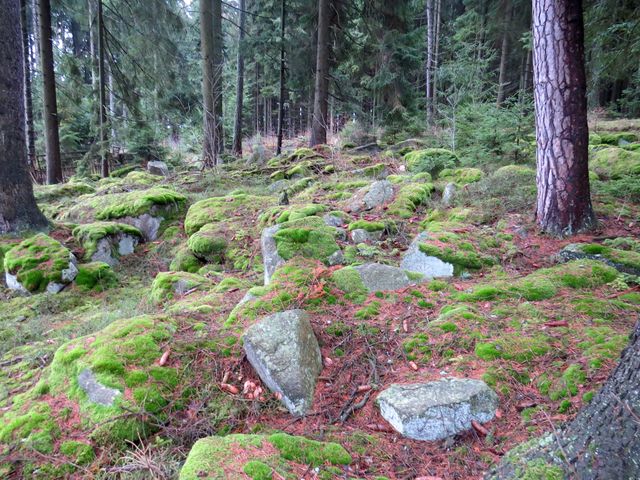 nejkrásnější zahrada nejkrásnější zahrada