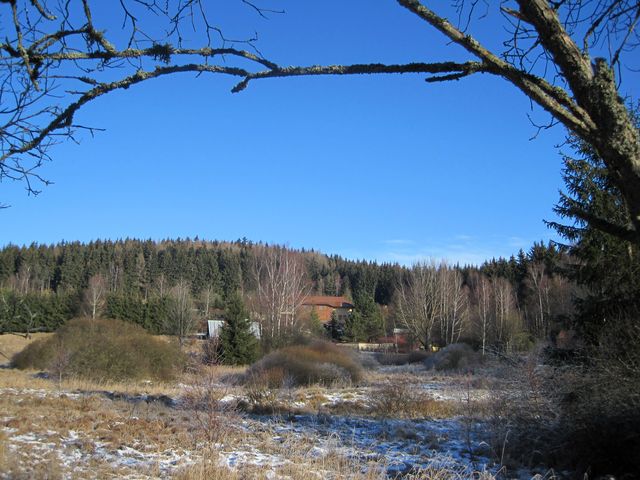 výhled z Dolních Hutí k lesům v okolí Skalky