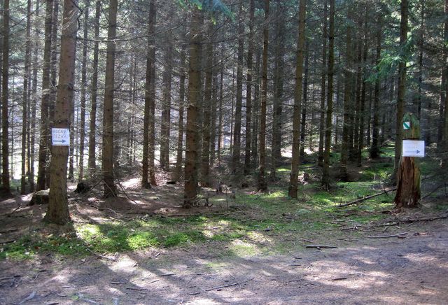 zvýraznění odbočky trasy naučné stezky; www.svatosi.cz zvýraznění odbočky trasy naučné stezky; www.svatosi.cz