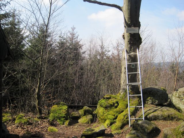 teď je vše podle předpisu teď je vše podle předpisu