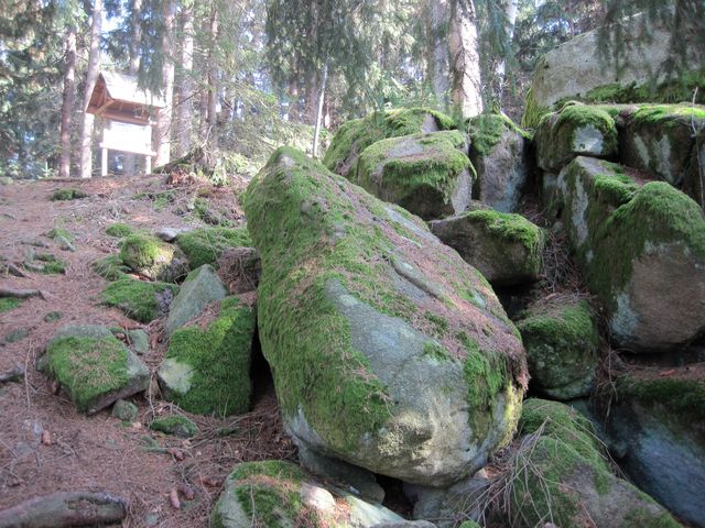 kameny se v proudu sunou po svahu Přední skály kameny se v proudu sunou po svahu Přední skály