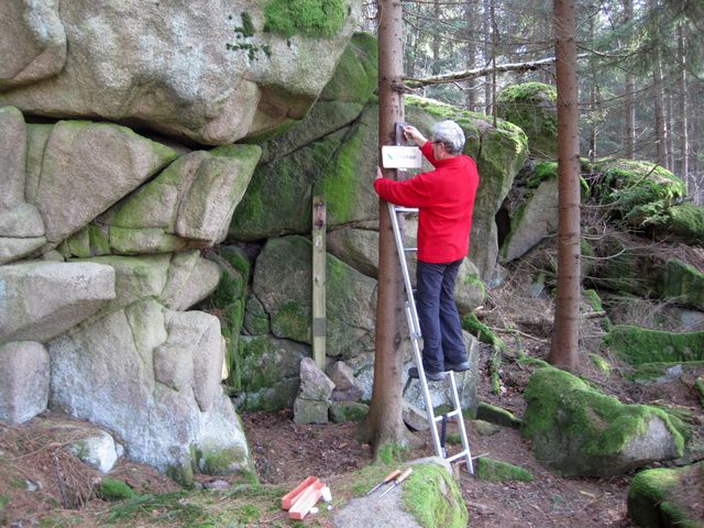 instalace setu na smrk před mrazovými sruby instalace setu na smrk před mrazovými sruby