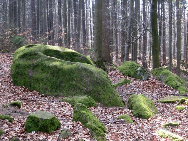 defilé přírodních výtvorů defilé přírodních výtvorů