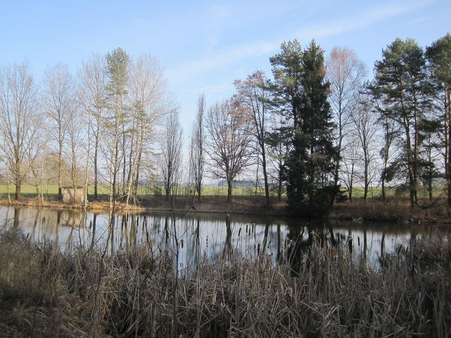 Menší rybník; www.svatosi.cz Menší rybník; www.svatosi.cz