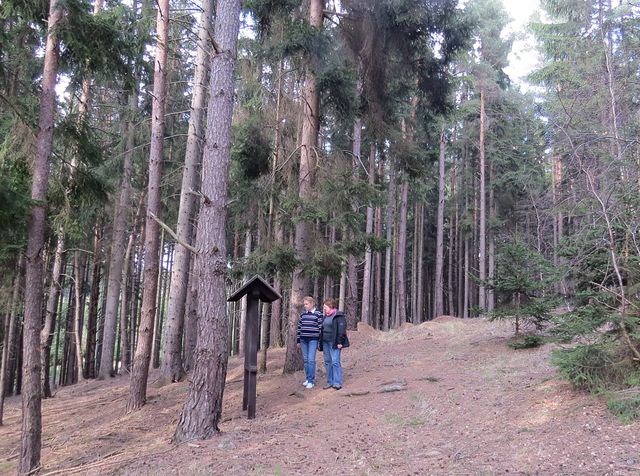 lesní naučná stezka Šebeň je 3 km dlouhá, je na ní 10 informačních panelů