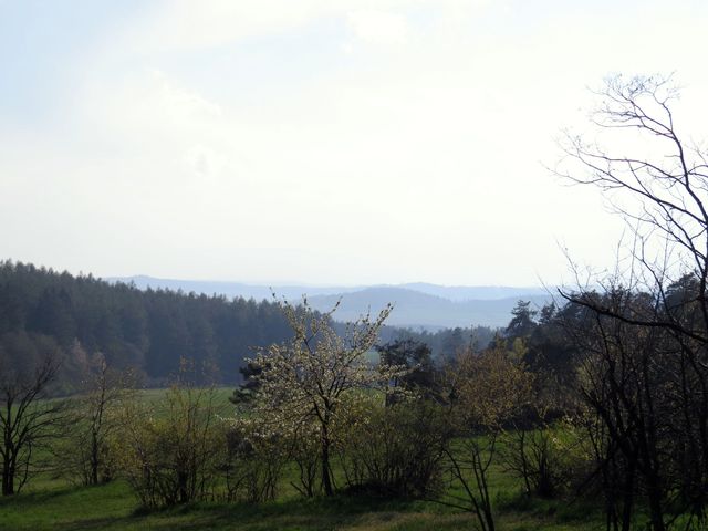 výhled ze svahu Klučovského kopce na Křižanovskou vrchovinu