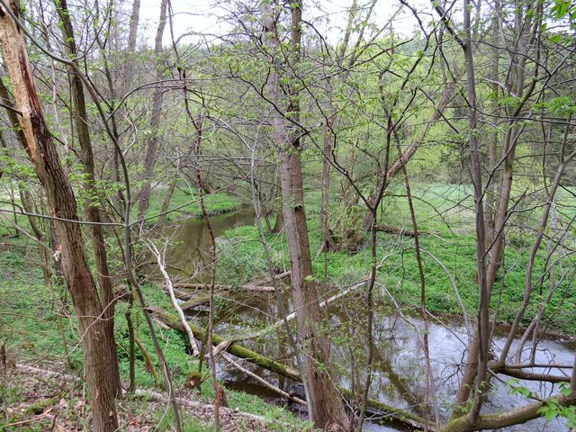 řeka obtéká lesnatý hřbet, který se jí postavil do cesty